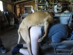 This middle-aged guy participates in beastiality sex while no one is home to see it.